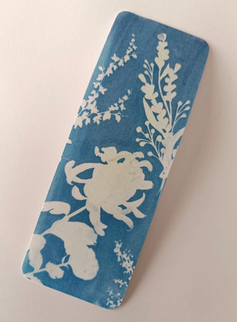 Aliénor et le cyanotype ! 1 Cyanotype image