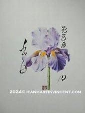 Jean-Martin et la calligraphie ! 1 Realisation JM Vincent